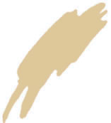 Plissees in Beige