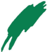 Plissees in Gr�n
