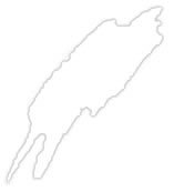 Plissees in Wei�