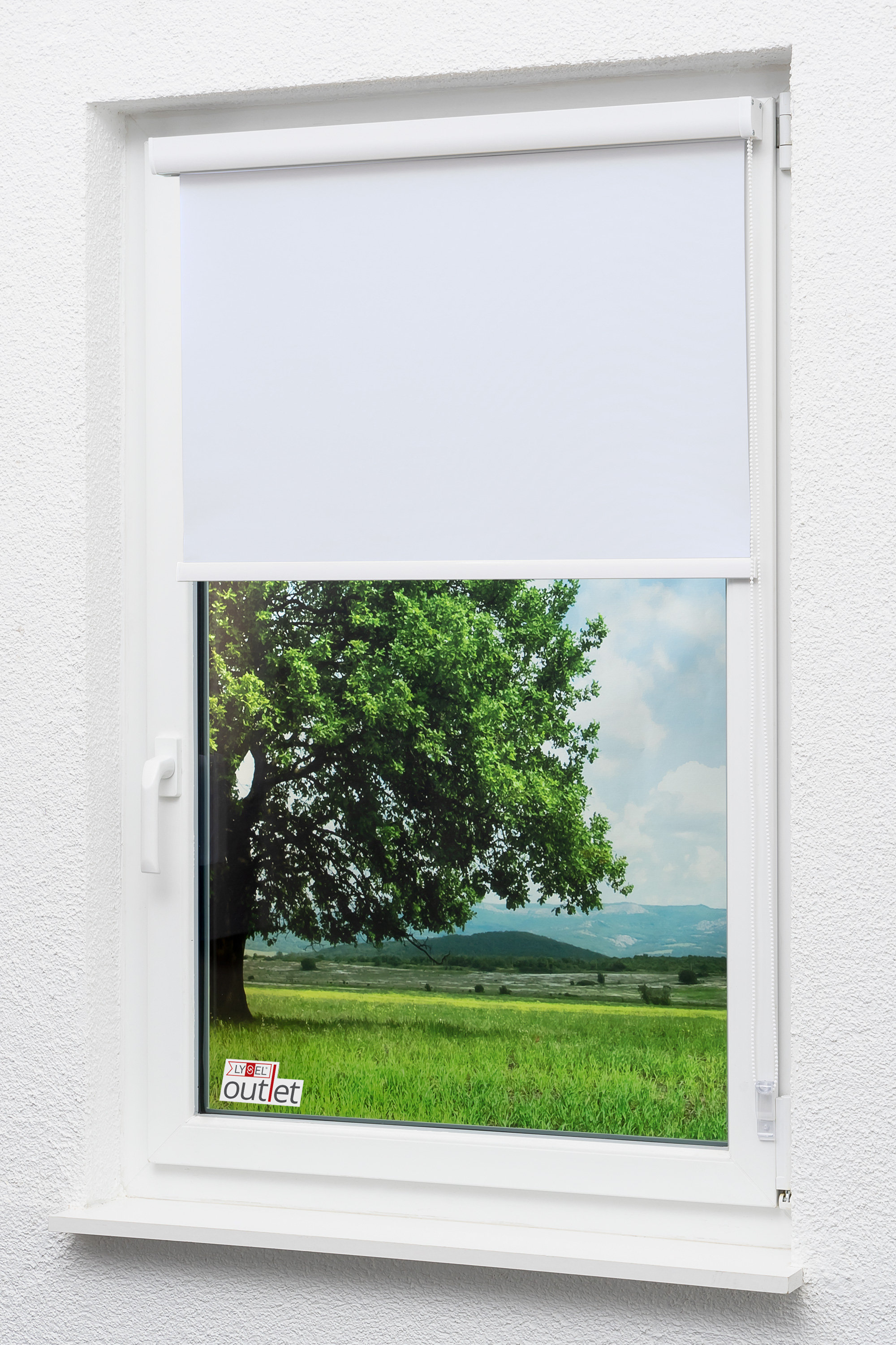 Bild 6 von 73
