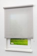silber Vorschau Lysel Outlet - Qualitätsrollo Screen Silber #1W silber