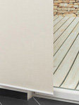 Reptile 02.933 Fensteransicht