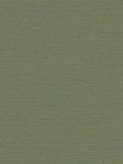 Stoff Textiles Uni 38.063