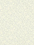 Fiorrancio 64.02 Detailansicht
