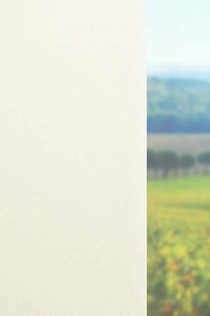 Preview Fiorrancio 64.02 3