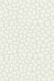 Lastro 67.01 Lastro 67.01