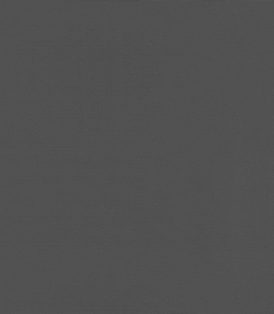 Vorschau Daily 30.558 1