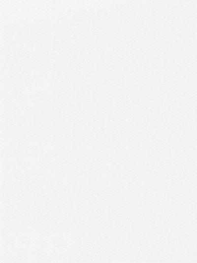 Vorschau Lamelle Scerzo 1004 1