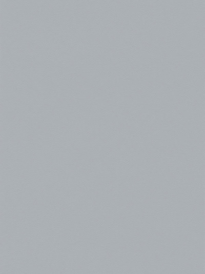 Vorschau Lamelle Scerzo 1006 1