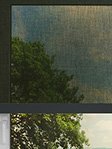 Simply Rollo Object 63.22d Fensteransicht