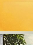 Simply Rollo Yellow 25.22d Fensteransicht