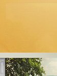 Simply Rollo Yellow 35.22d Fensteransicht