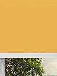 Simply Verdunkelungsrollo Yellow 55.22d Fensteransicht