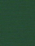 Simply Verdunkelungsrollo Green 36.22d Detailansicht
