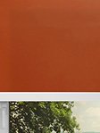 Simply Rollo Orange 77.22d Fensteransicht
