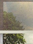 Simply Rollo Nature 96.32d Fensteransicht