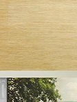 Simply Rollo Nature 77.32d Fensteransicht