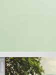 Simply Rollo Green 71.24d Fensteransicht