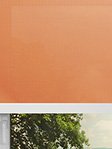 Simply Rollo Orange 77.24d Fensteransicht