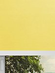 Simply Rollo Yellow 82.05d Fensteransicht