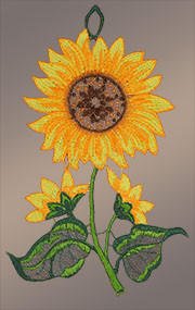 Fensterbilder Reife Sonnenblume