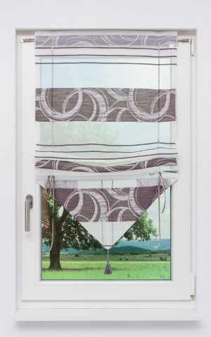 zarten Raffrollo aus Fenstermode transparent: originelle Stoffen