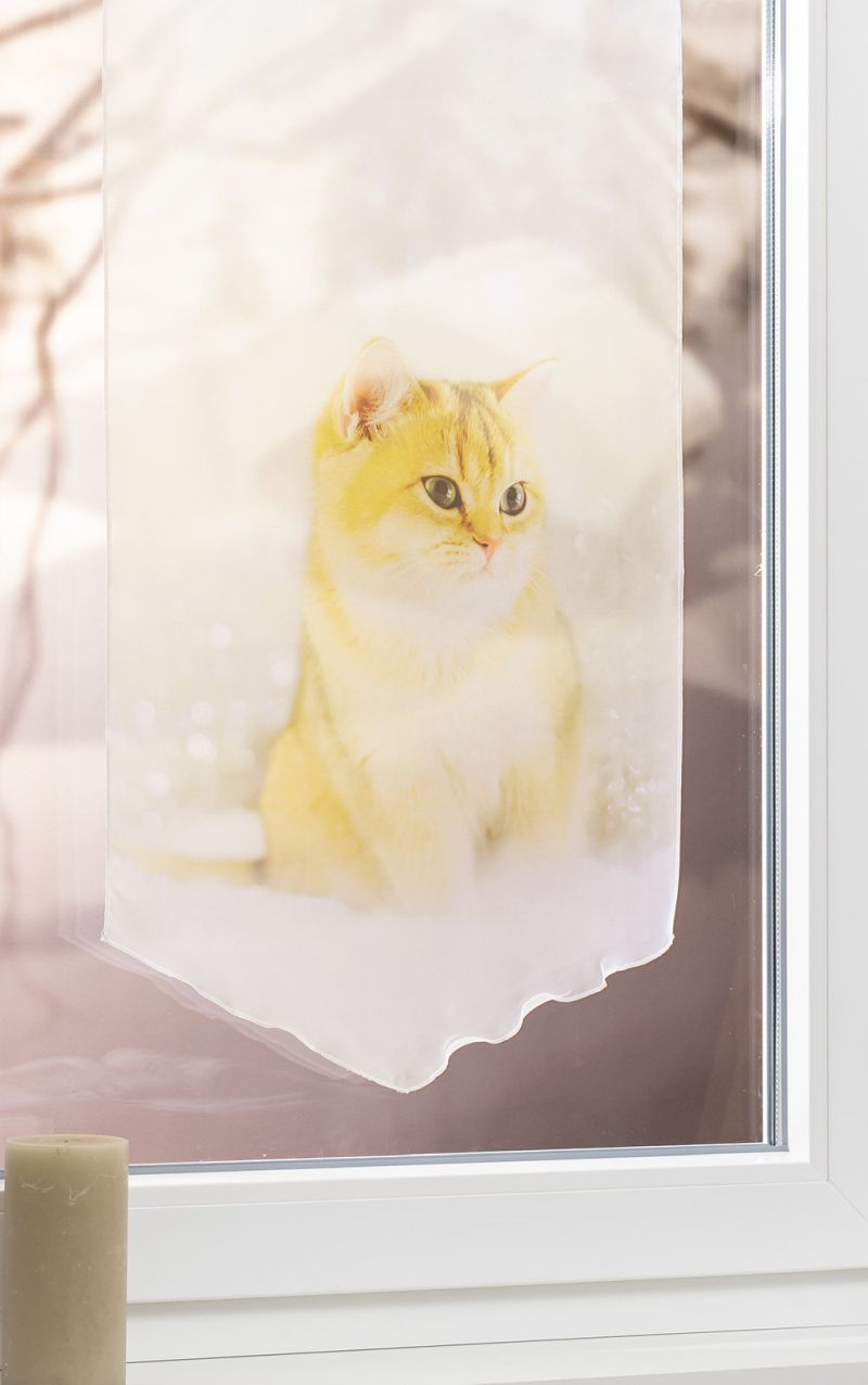 Scheibenhnger von Lysel - Katze im Schnee