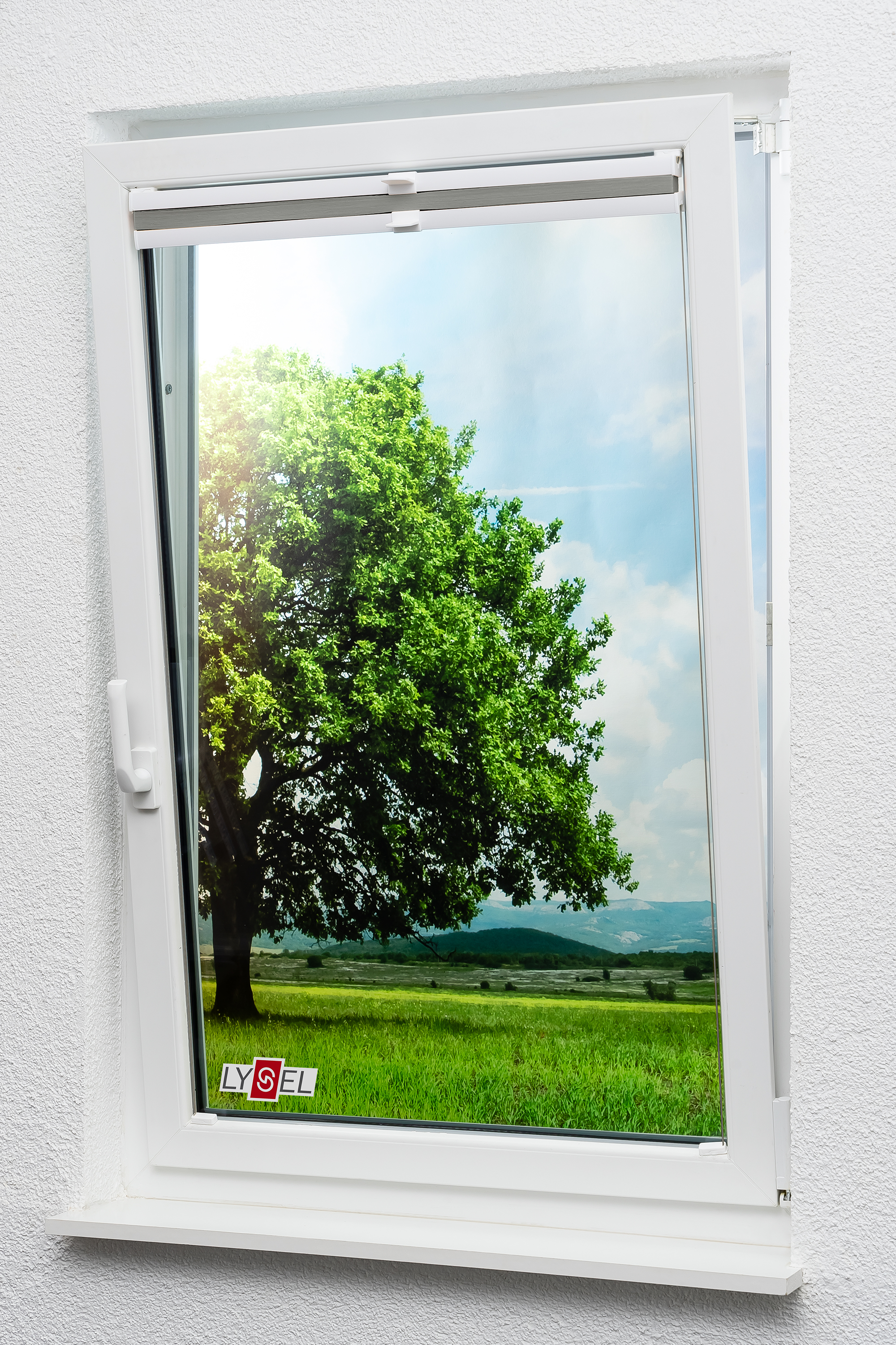 Bild 7 von 11