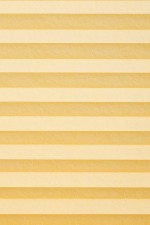 +