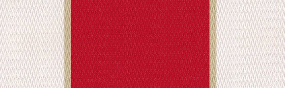 Detailansicht Aussenrollo Fantasie Rossi G759