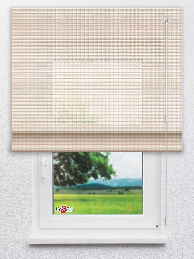 R2017 Fensteransicht