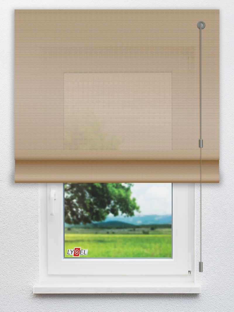 R1.787 Fensteransicht