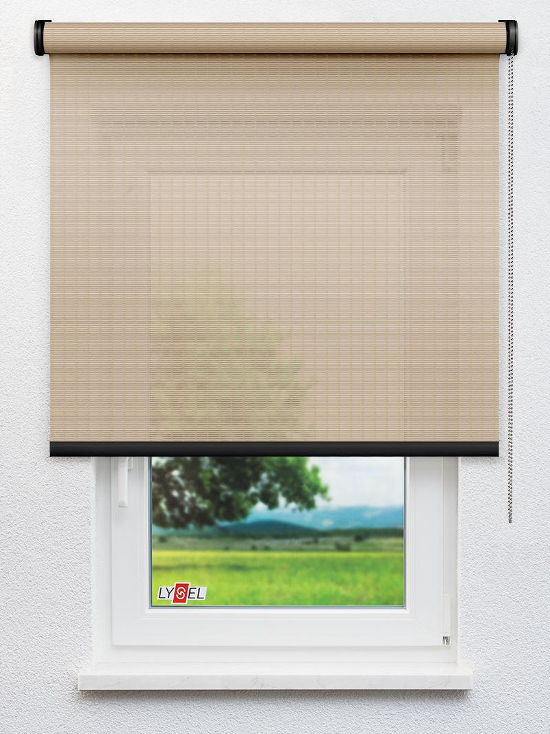 R1.787 Fensteransicht