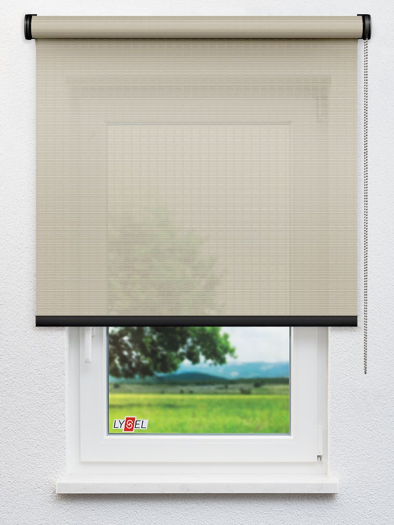 R2.787 Fensteransicht