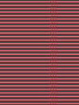 RAL 3018 THIN Detailansicht