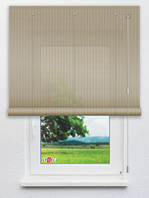 B164 Fensteransicht