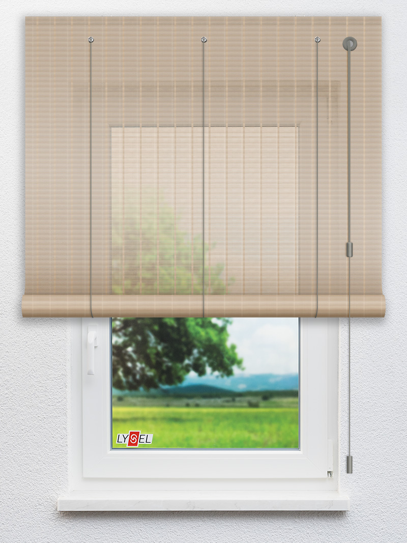 R1.777 Fensteransicht