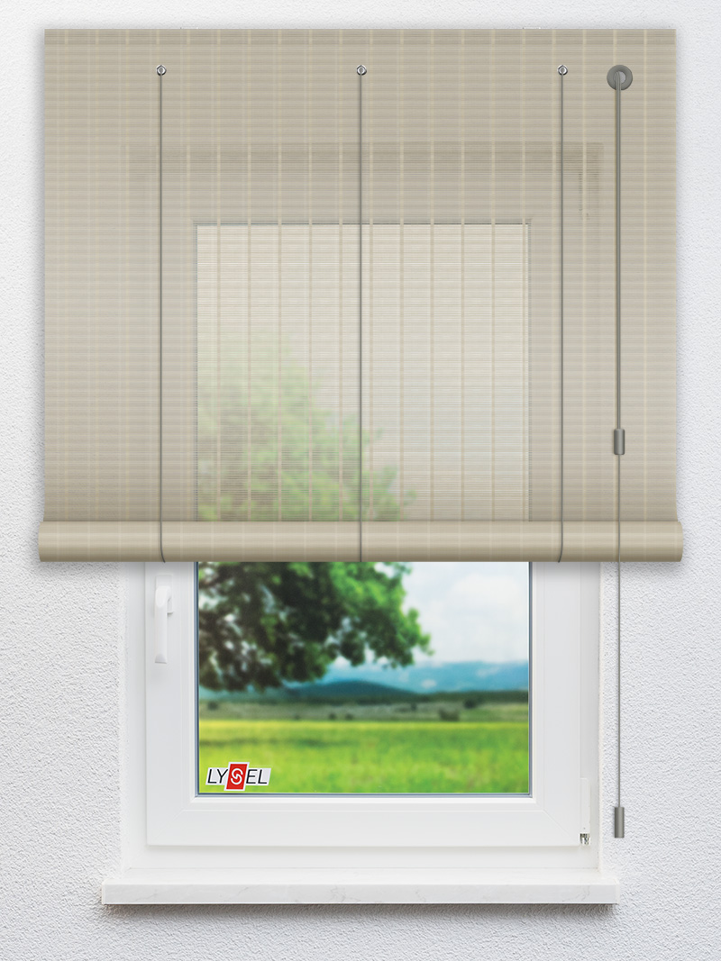 R2.777 Fensteransicht