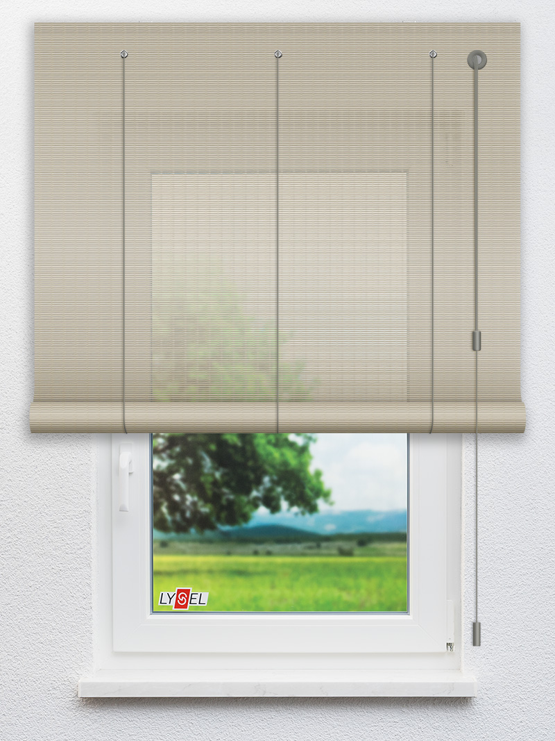 R2.787 Fensteransicht