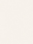 Satin Perlex 12.312 Detailansicht