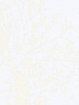 Modern Graphics 00.162 Detailansicht