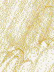 Points 03.162 Detailansicht