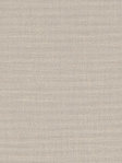 Shroud 21.244 Detailansicht