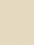 Eco Canvas 81.158 Detailansicht