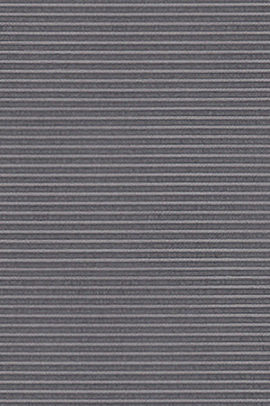Preview Trans Stripe 30.010 3