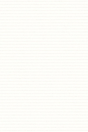 Trans Stripe 12.010 Detailansicht