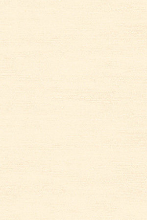 Structura Trans 91.210 Detailansicht