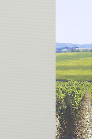 Preview Julia 30.040 2