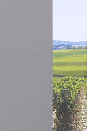 Preview Julia 70.040 2