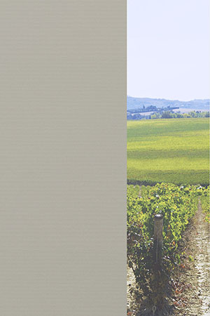 Preview Julia 31.040 2